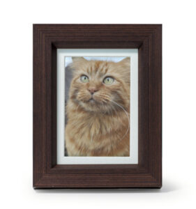 Tribute Photo Frame In Walnut