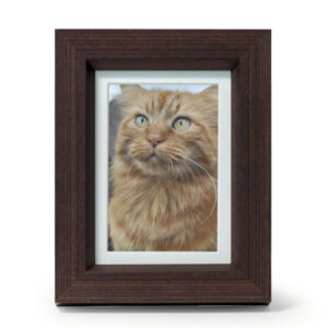 Tribute Photo Frame In Walnut