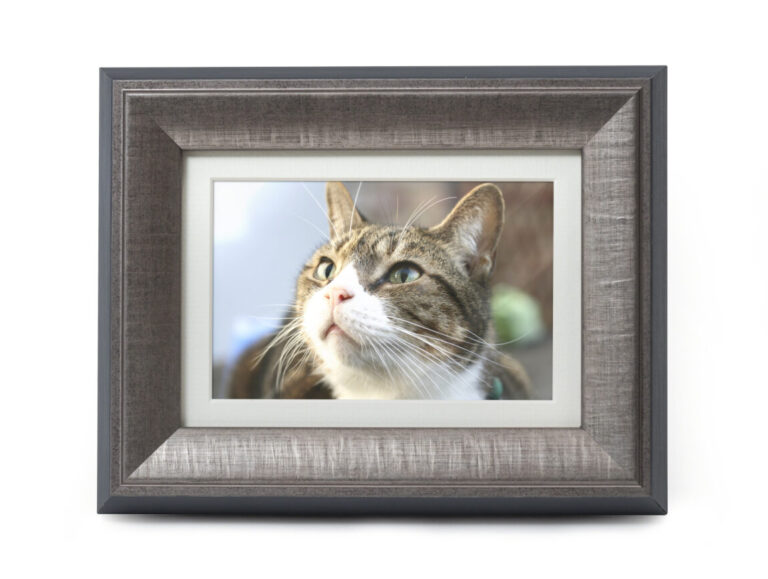 Tribute Photo Frame In Pewter